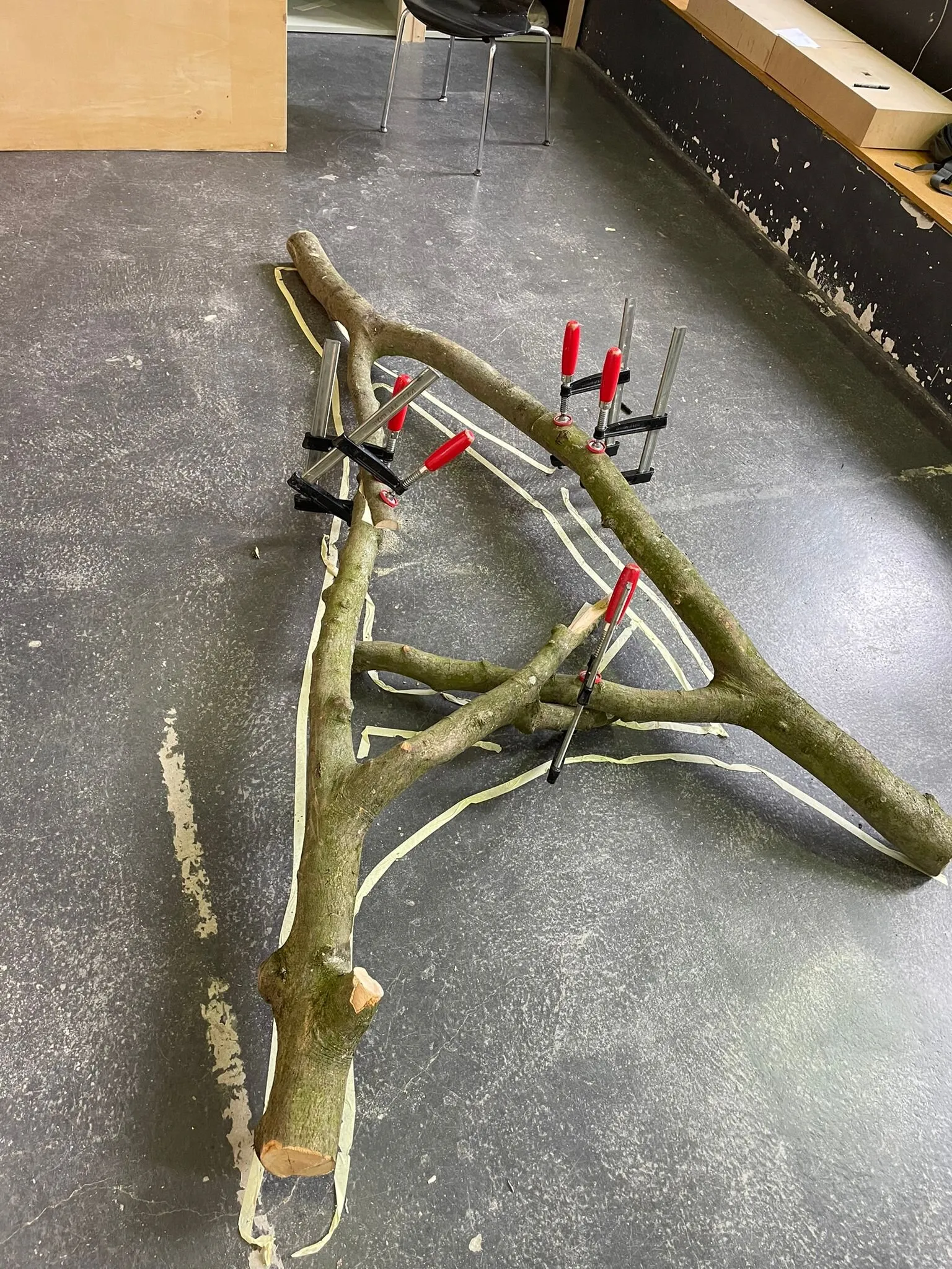 A forked tree branch rests on a workshop floor beside clamps and pale layout marks.